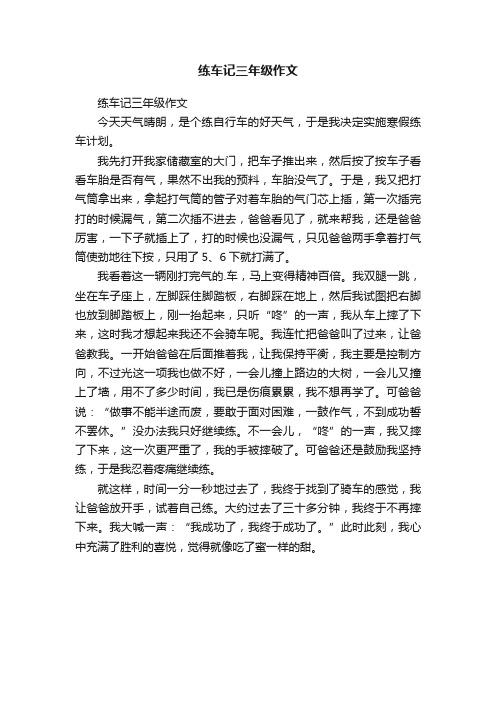 练车记三年级作文