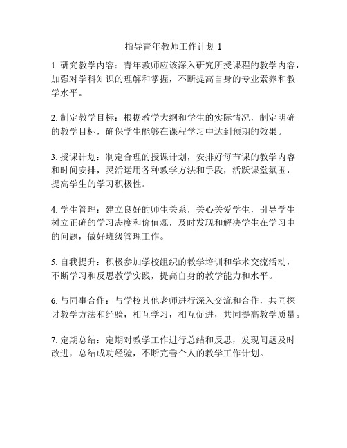 指导青年教师工作计划 1