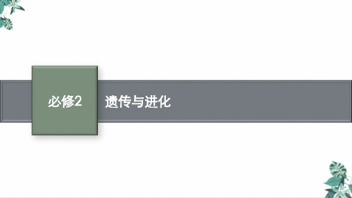 人教版教材高中生物《遗传与进化》课件完美