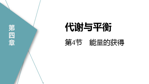 浙教版九年级上册科学《能量的获得》说课教学课件