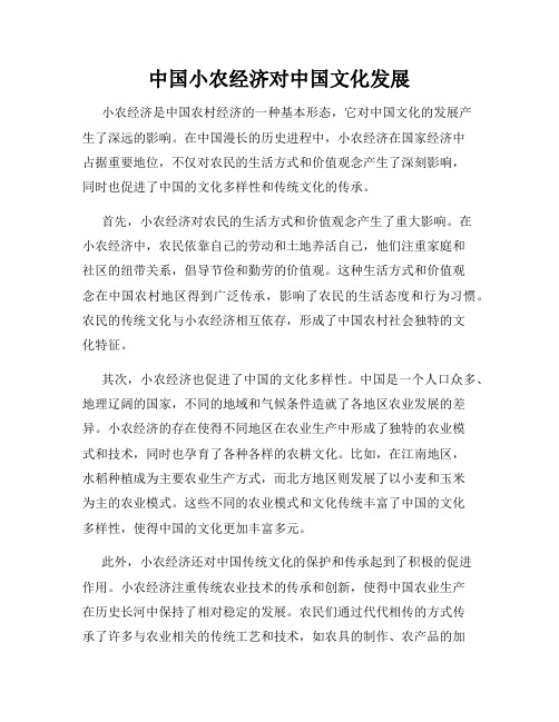 中国小农经济对中国文化发展