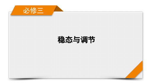 必修3 第1单元 第1讲 人体的内环境与稳态