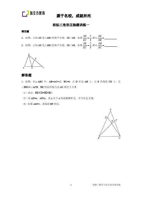 相似三角形压轴题训练一二-学生-郭亚琦-数学