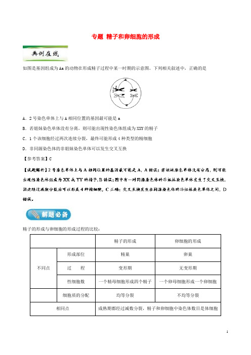 高考生物一轮复习专题精子和卵细胞的形成每日一题