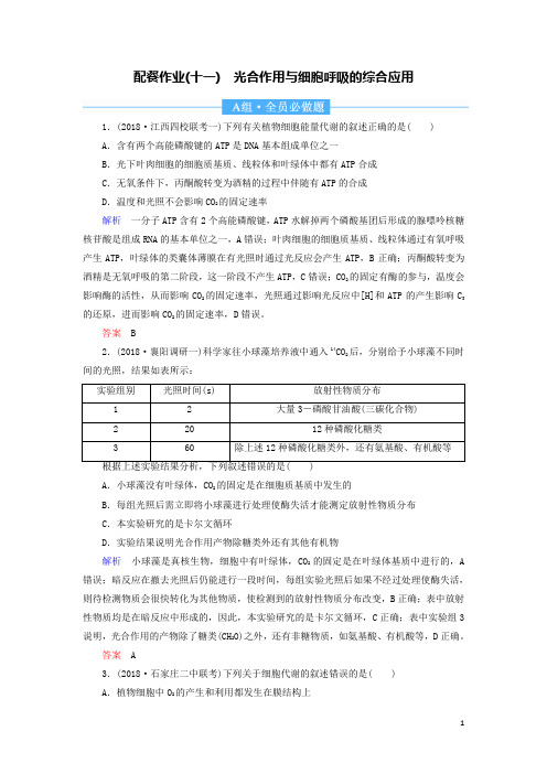 高考生物复习题光合作用与细胞呼吸的综合应用含解析