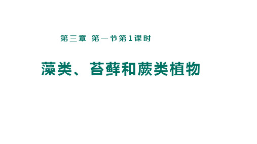 3.1.1藻类、苔藓和蕨类植物 课件(39张PPT)2023--2024学年人教版生物七年级上册