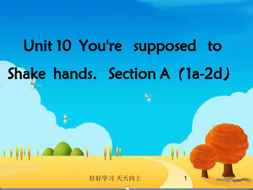 九年级英语上册 教学课件 Unit 10 You're supposed to shake hand