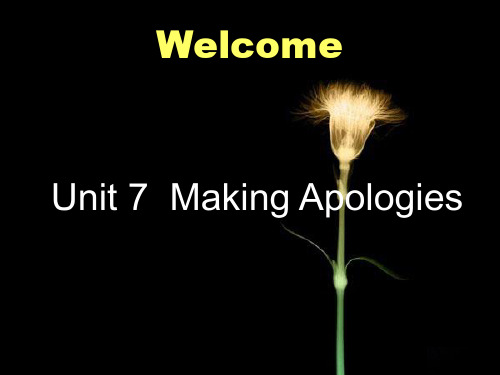 making apologies教学