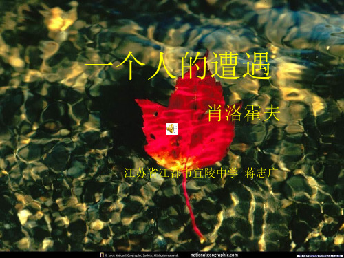 【苏教版】高中语文必修2课件:5《一个人的遭遇》课件(共24张PPT)优秀课件