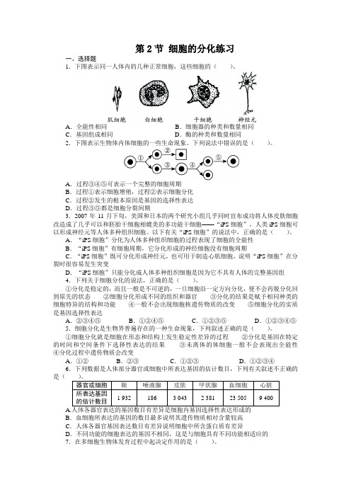 人教课标版高中生物必修1第6章《细胞的分化》课后训练1