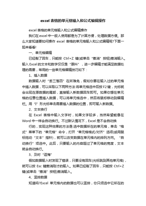 excel表格的单元格输入和公式编辑操作