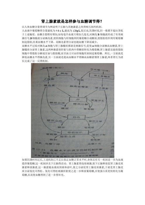 肾上腺素是怎样参与血糖调节的