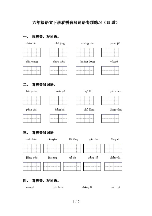 六年级语文下册看拼音写词语专项练习(15道)