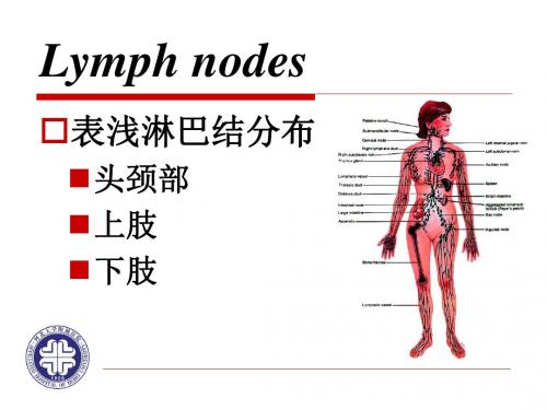 一般检查淋巴结PPT课件