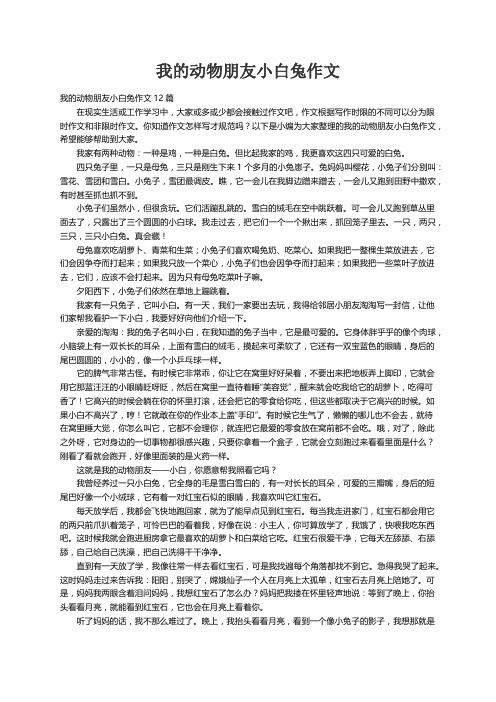 我的动物朋友小白兔作文12篇