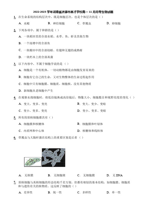 2022-2023学年河南省济源市英才学校高一11月月考生物试题