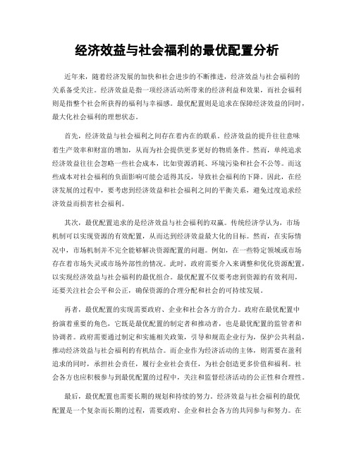 经济效益与社会福利的最优配置分析