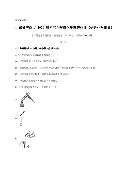 山东省济南市2020届初三九年级化学寒假作业《走进化学世界》包含答案