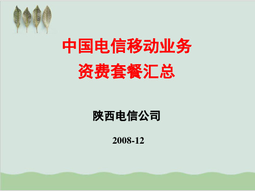 中国电信移动业务资费套餐大全PPT课件( 13页)