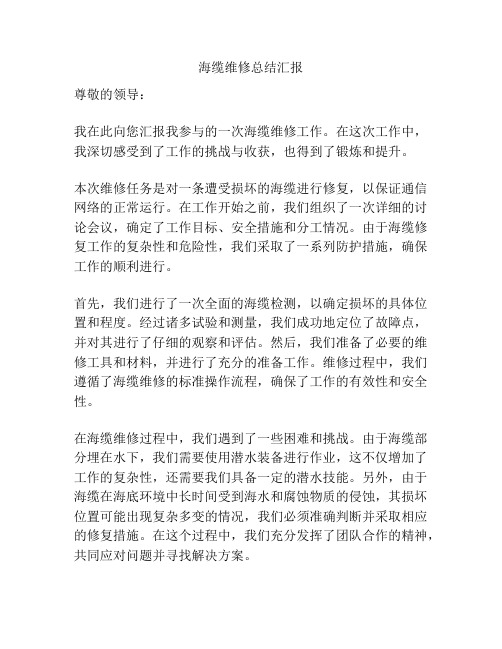 海缆维修总结汇报