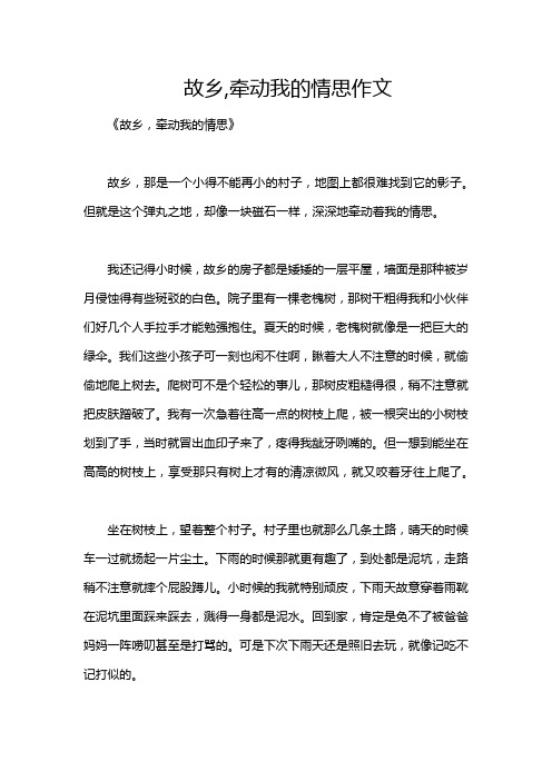 故乡,牵动我的情思作文