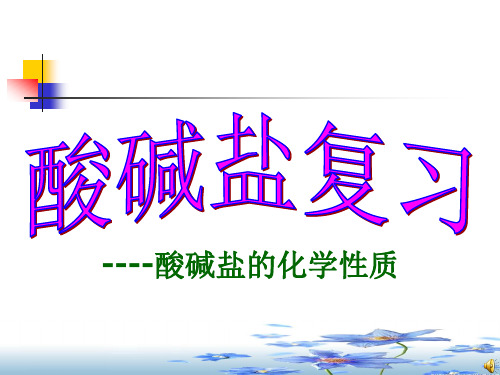 人教版九年级下册 酸碱盐化学性质复习课(共16张ppt)