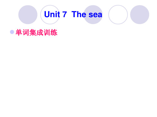 高三一轮复习Unit 7  The sea