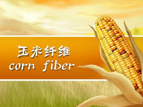 corn fiber