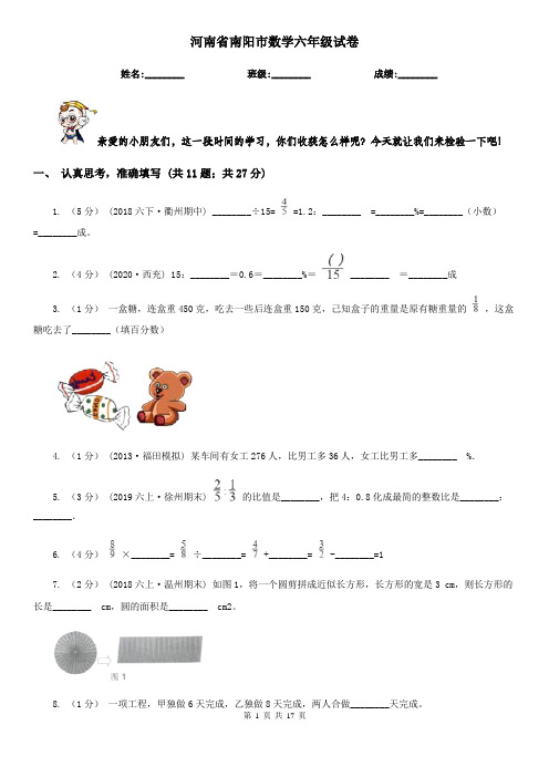 河南省南阳市数学六年级试卷