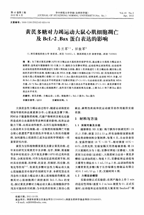 黄芪多糖对力竭运动大鼠心肌细胞凋亡及BcL-2、Bax蛋白表达的影响