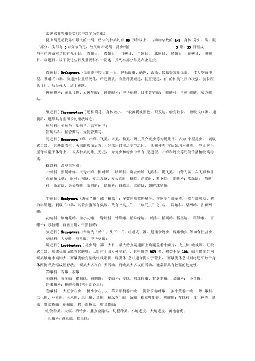 常见农业害虫分类