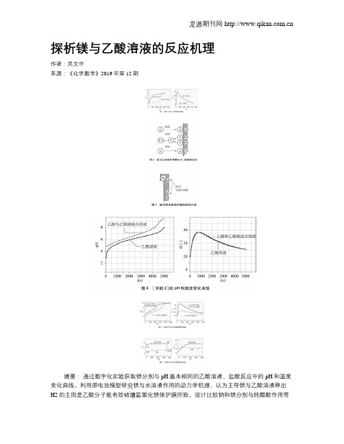 探析镁与乙酸溶液的反应机理