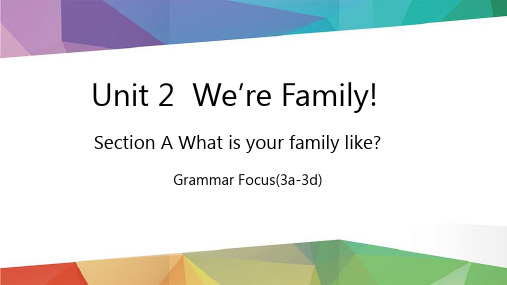 Unit 2 We’re Family! Lesson 3 Grammar Focus(3a3d) 