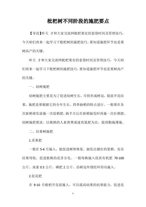 枇杷树不同阶段的施肥要点