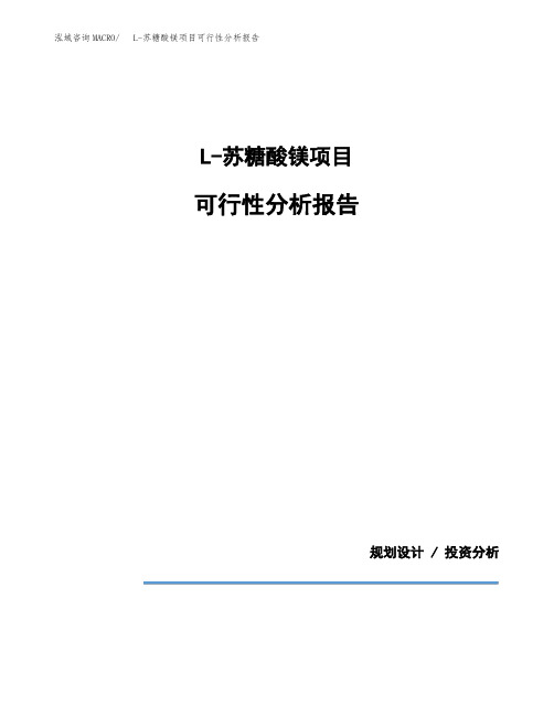 L-苏糖酸镁项目可行性分析报告(模板参考范文)