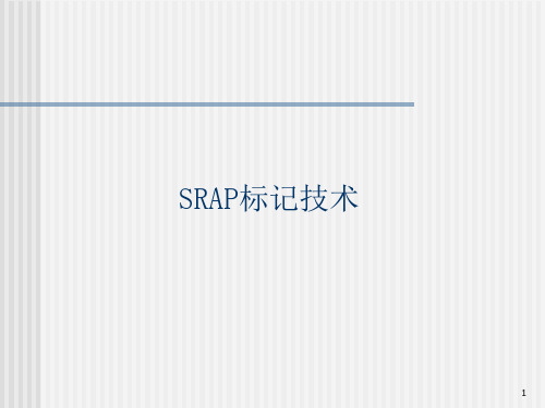 第八讲(2)SRAP技术课件