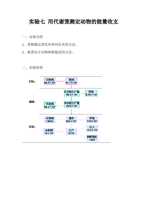 用代谢笼测定动物的能量收支