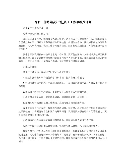 两新工作总结及计划_员工工作总结及计划