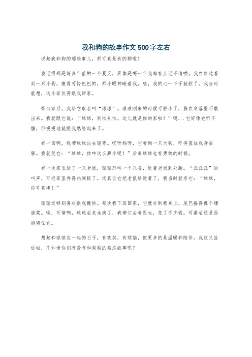 我和狗的故事作文500字左右