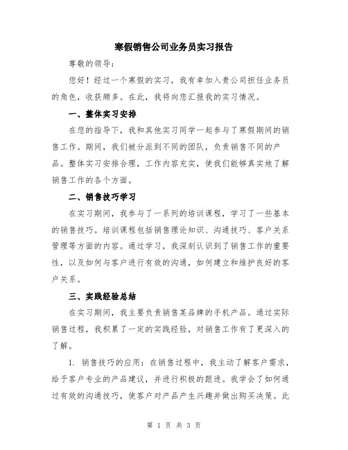 寒假销售公司业务员实习报告