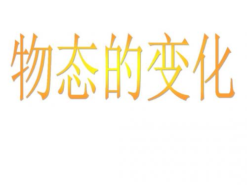 浙江省温州市龙湾区实验中学中考科学总复习 物态变化