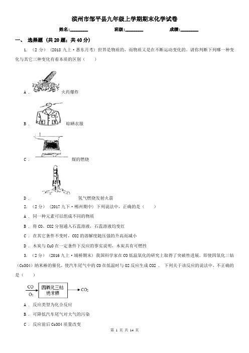 滨州市邹平县九年级上学期期末化学试卷