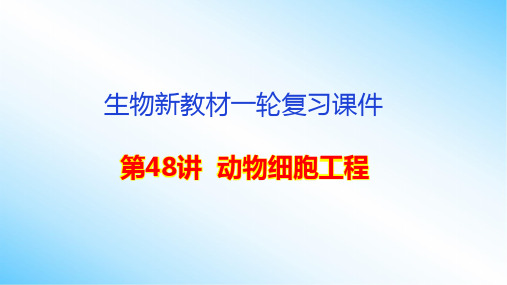 生物新教材一轮复习课件：第48讲  动物细胞工程