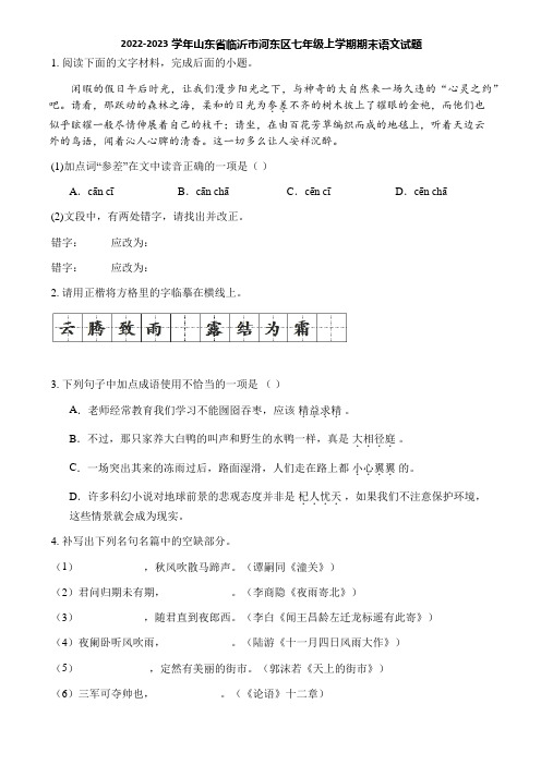 2022-2023学年山东省临沂市河东区七年级上学期期末语文试题