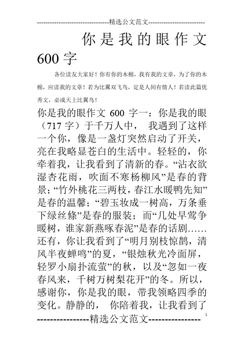 你是我的眼作文600字