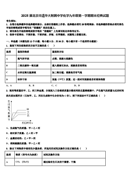 2025届北京市清华大附属中学化学九年级第一学期期末经典试题含解析