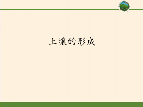 高中地理湘教版(2019)必修第一册 第五章 第二节土壤的形成