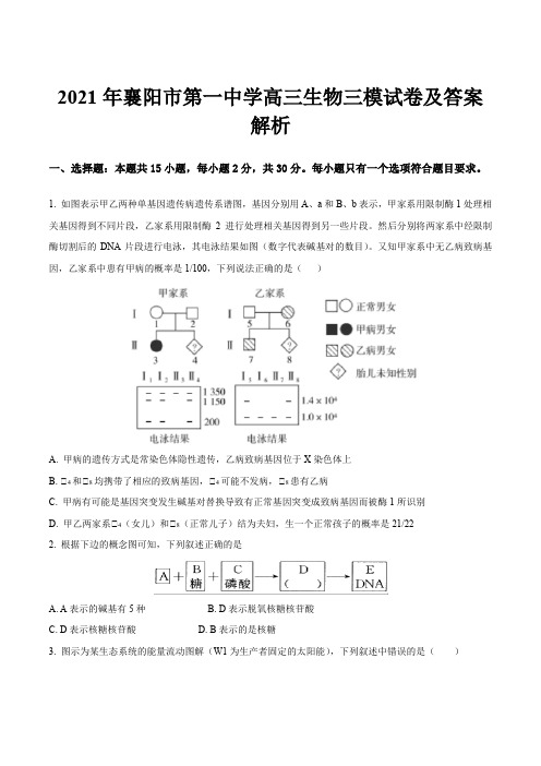 2021年襄阳市第一中学高三生物三模试卷及答案解析