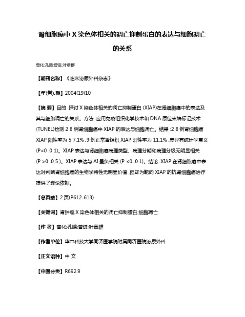 肾细胞癌中X染色体相关的凋亡抑制蛋白的表达与细胞凋亡的关系