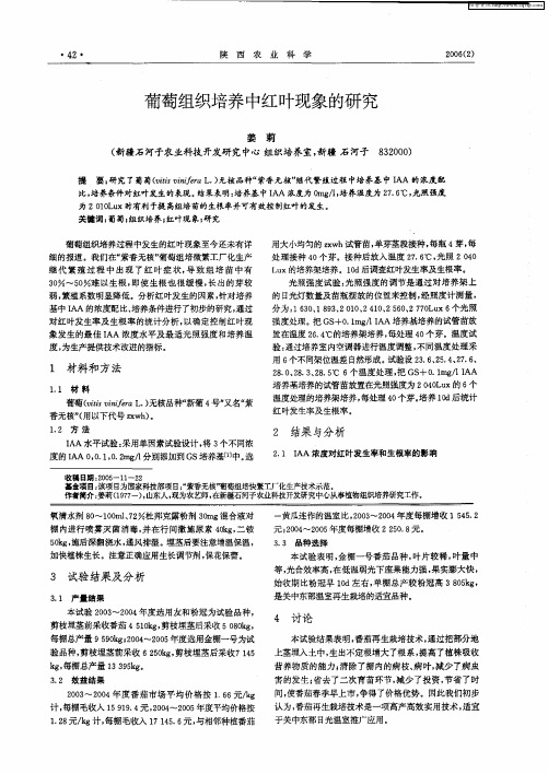 葡萄组织培养中红叶现象的研究